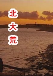 伊人狼人av